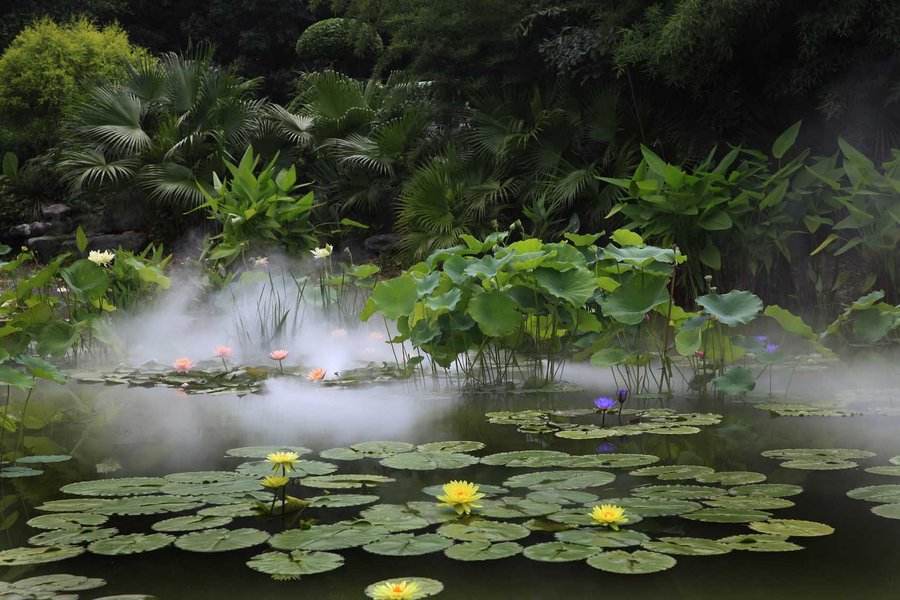 王昌龄边塞诗十首经典,黄沙百战穿金甲全诗赏析