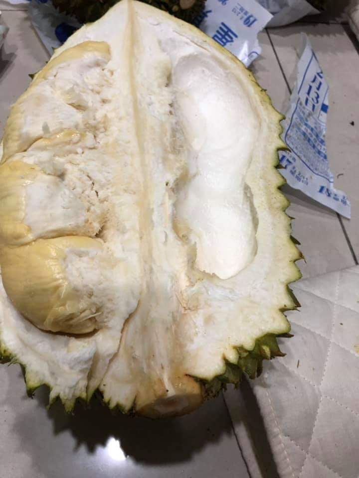 榴莲品种d13,泰国榴莲d197是什么品种