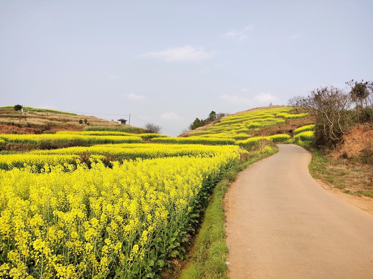黄埔军校耒阳陆姓学员名单,黄埔军校耒阳学员五期名单