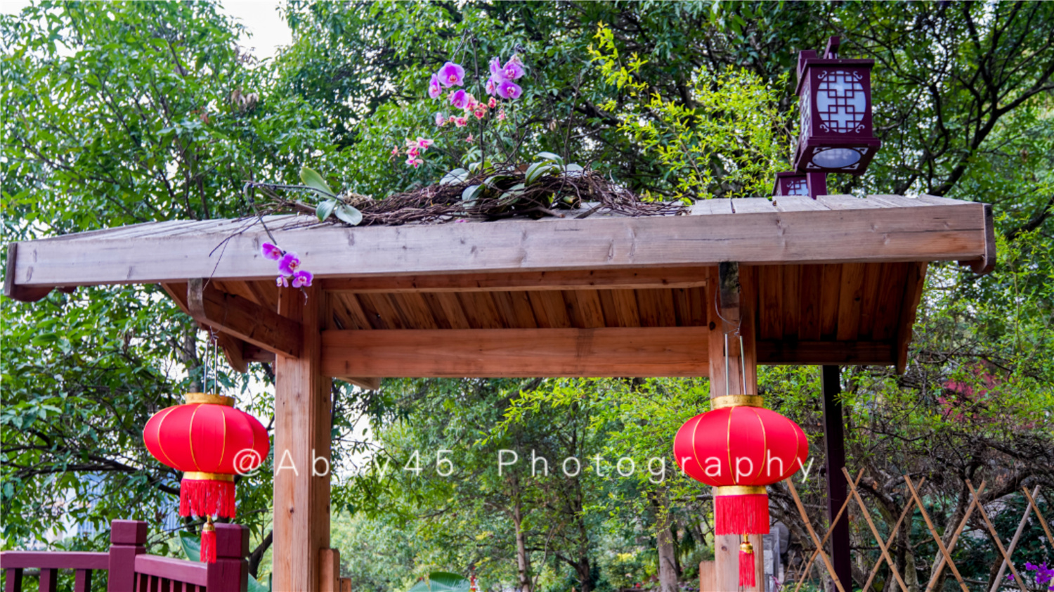 国内十大兰圃之一在福州，莫负好*光春**，免费尽享兰花的春之盛宴