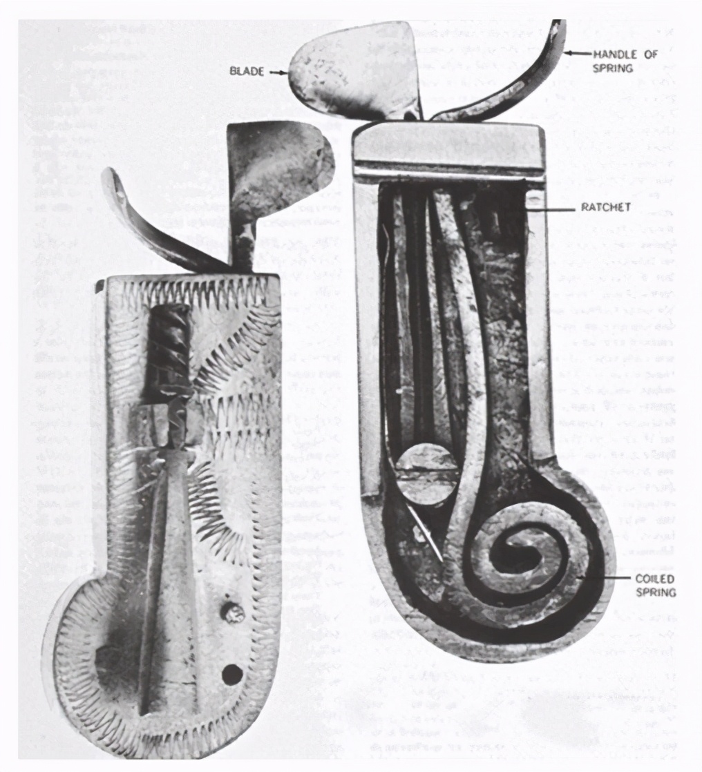 欧洲水蛭放血治疗,外国人用水蛭放在身上治病