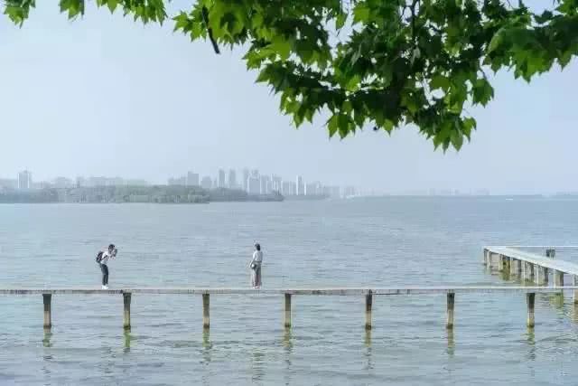 武汉21个免费景点,武汉43个免费景点出炉