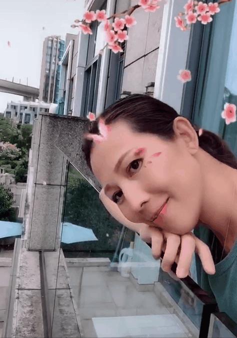 蔡少芬丑照,蔡少芬恶搞陈建斌