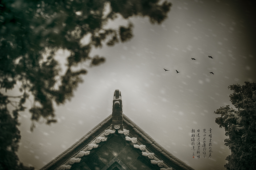 雪中楼阁诗句,雪中真武殿