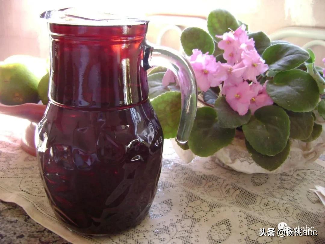 网络热门野生水果鉴定,鉴定网络热门水果仙人掌果实