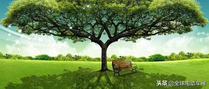 电动车某企业阵亡：16天后，不到10万拍卖！下一个会是谁？