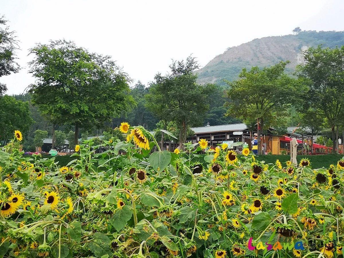 合肥玻璃漂流滑道,合肥滑漂