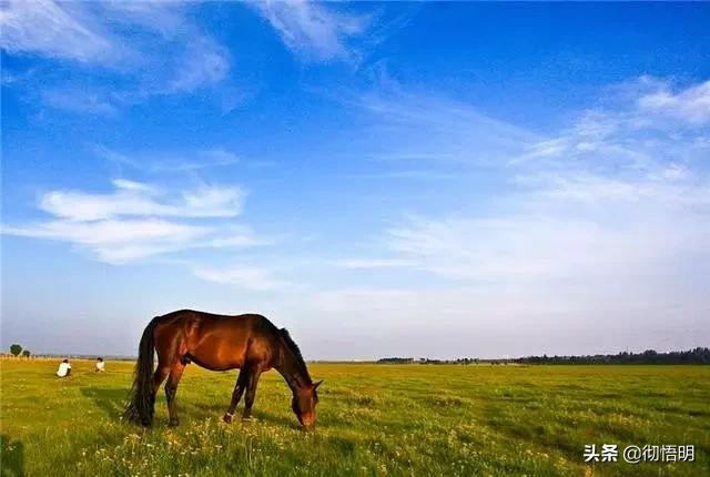 中国最美的地方,中国最美的地方有哪