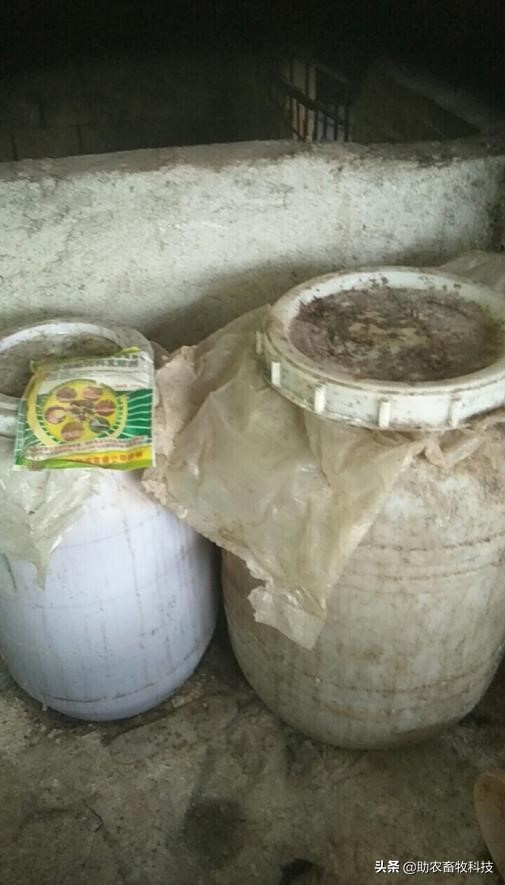 猪场防非措施很到位,猪场怎么防止病毒