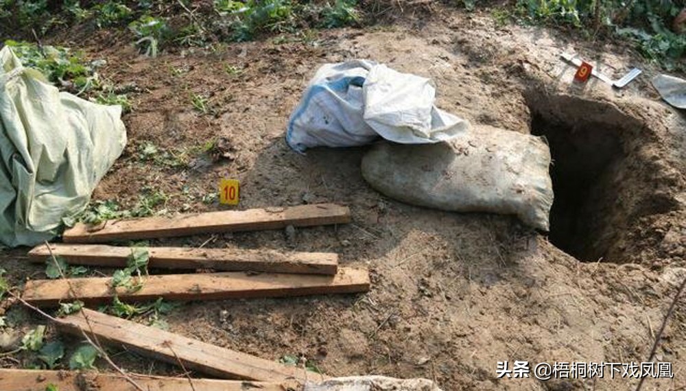 从盗猎者手里买动物放生,从盗墓者手中抢出的国宝玉器