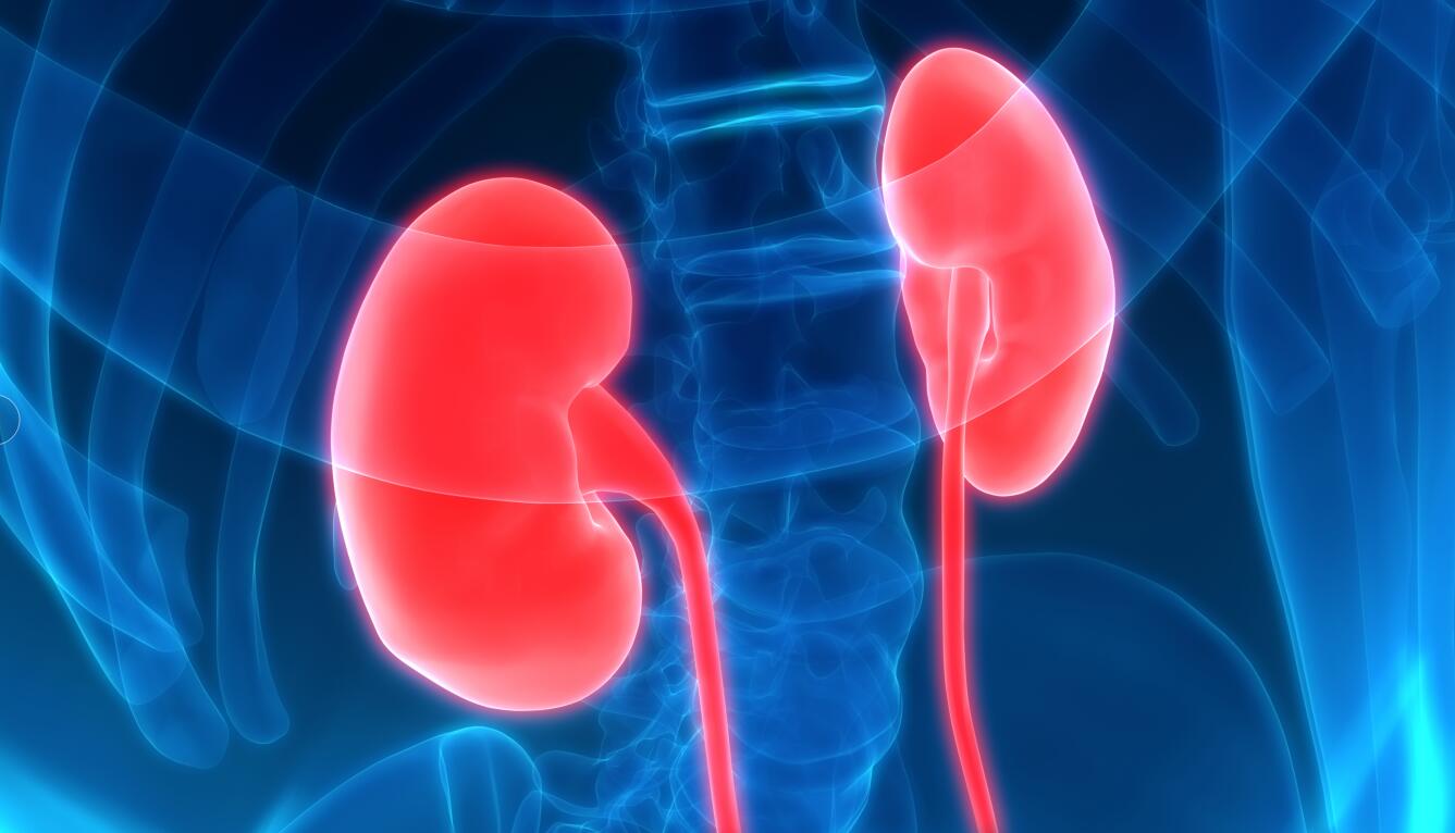 医生建议少吃碳水多吃高蛋白,慢性肾功能衰竭需要吃什么营养品