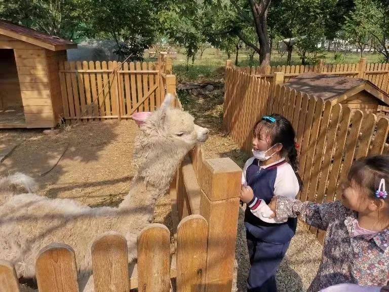 不靠名师、不拼生源,罗振宇盛赞的乡村学校,让我们看到教育“突围”的可能