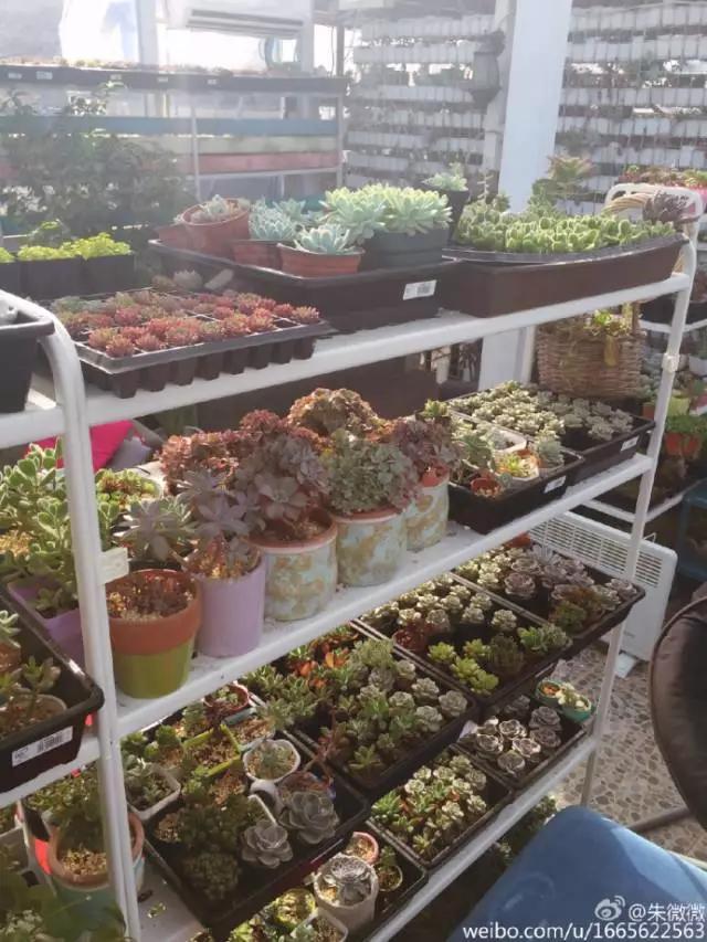 10大赚钱副业摆地摊卖什么最赚钱,做一个摆地摊的姑娘该如何入手