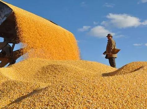 美国如何联手四大粮商,美国联合全球四大粮商