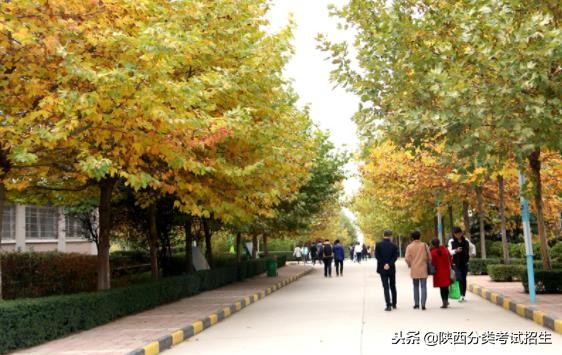 魅丽校园行之-陕西职业技术学院