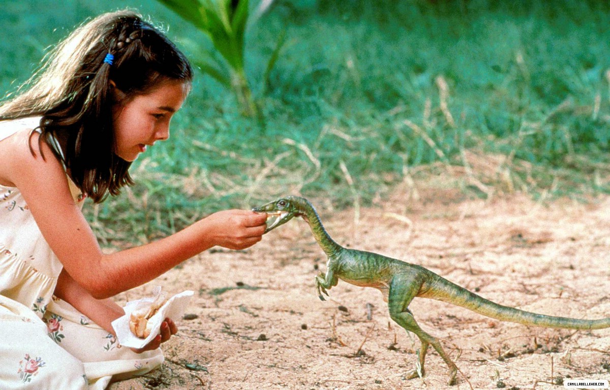 美国队长女主角最新电影,美国队长的女演员