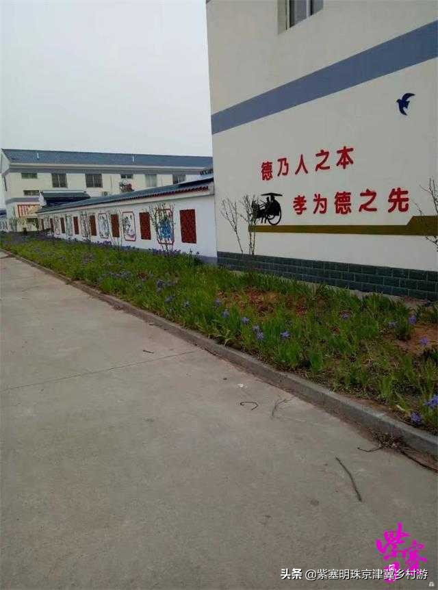 唐山乐亭旅游攻略一日游多少钱,唐山旅游乐亭祥云岛景点大全