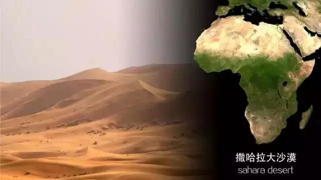 自然环境对人类的起源进化史,人类与环境的发展历史