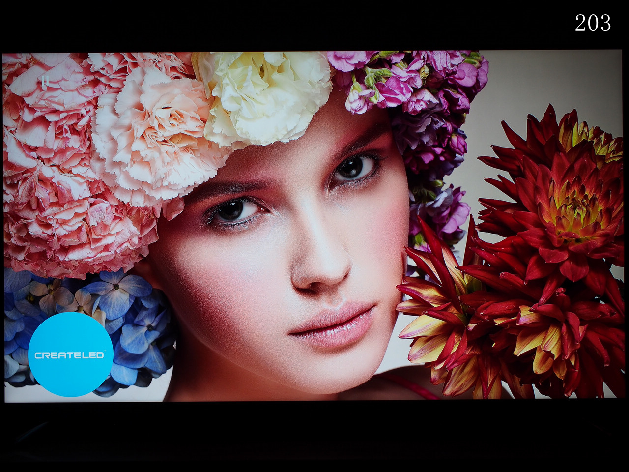 音画俱佳，操控稍弱——先锋UDP-LX500