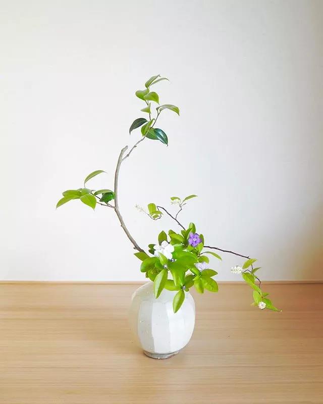 一花一世界一叶一菩提本来无一物,一花一世界一叶一菩提一场梦