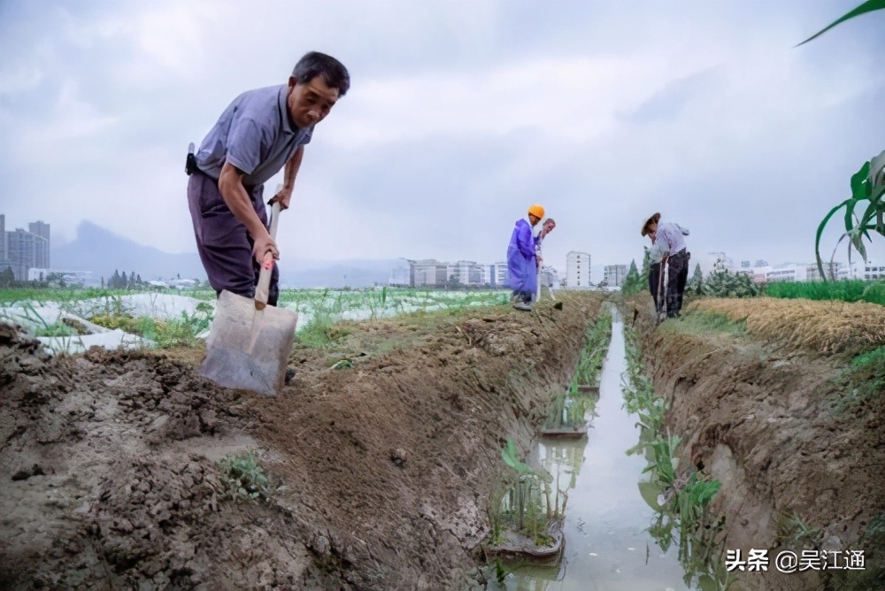 抓蟹的方法和技巧,捉山蟹的方法