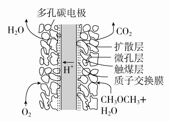 2023届高三一轮复习联考化学,2022高考化学总复习优化探究
