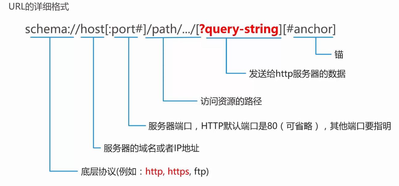 万维网的基础知识,如何理解万维网