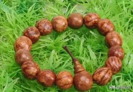 最值得玩的菩提子,真正的菩提子