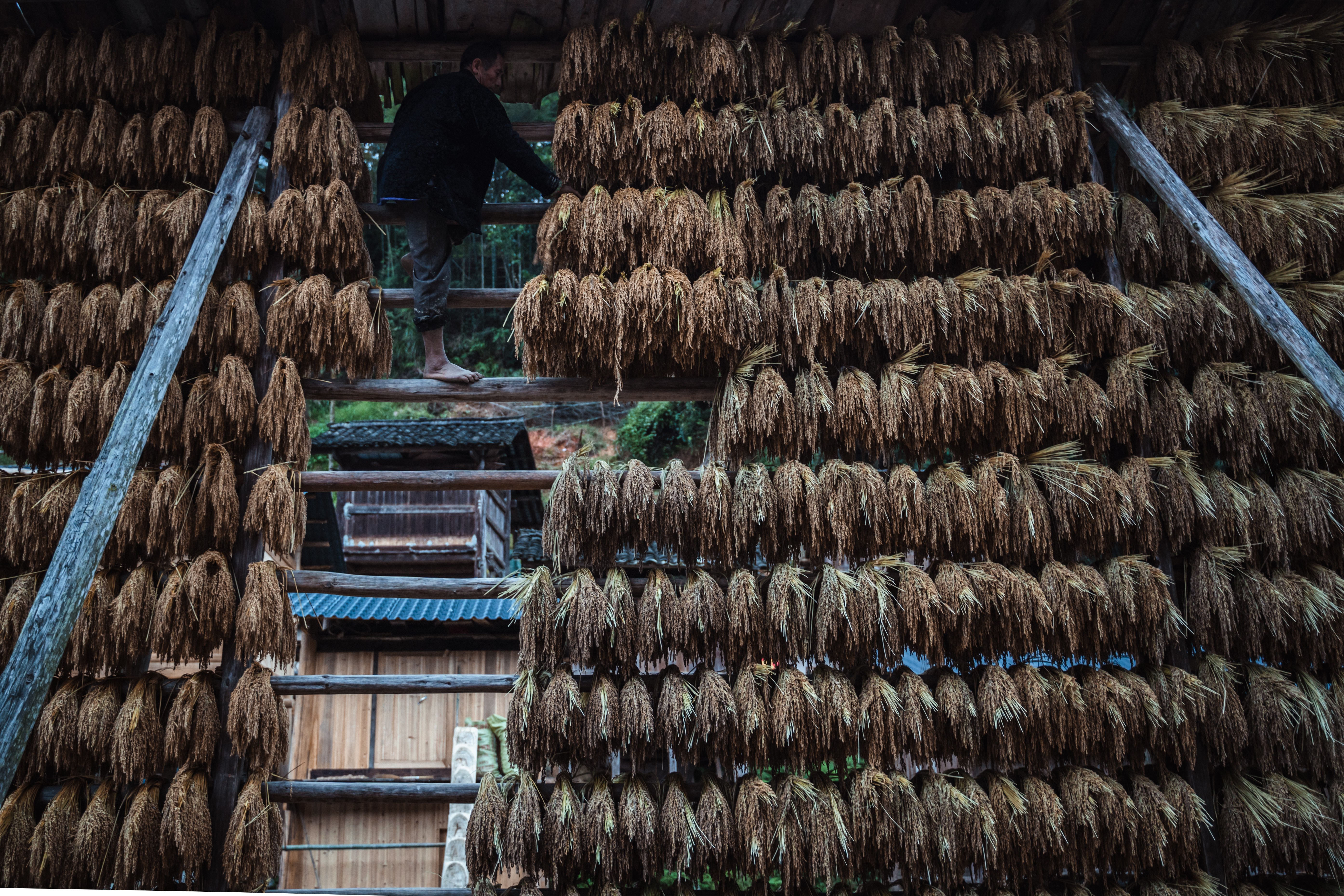 贵州人少景美的小村寨,贵州特色寨子