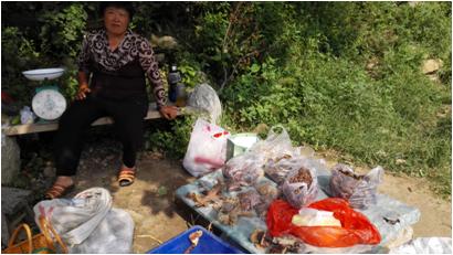 临沂蒙山大洼，自由地享受山里的美食与风景（自驾游）