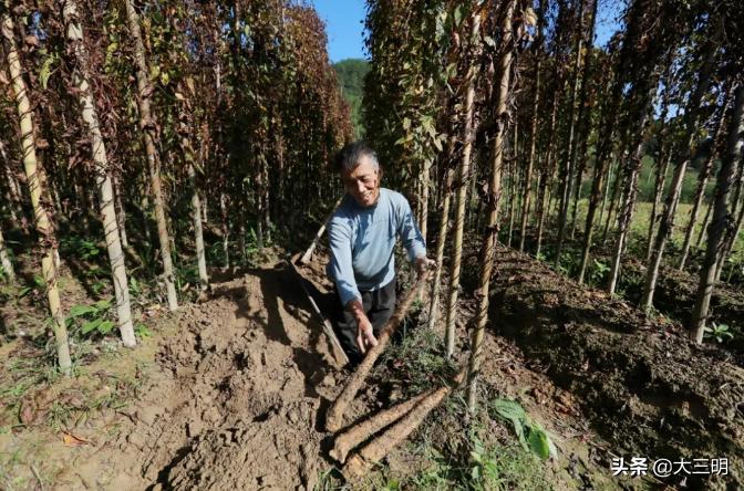 侨乡大地绽新颜——明溪县脱贫攻坚工作侧记