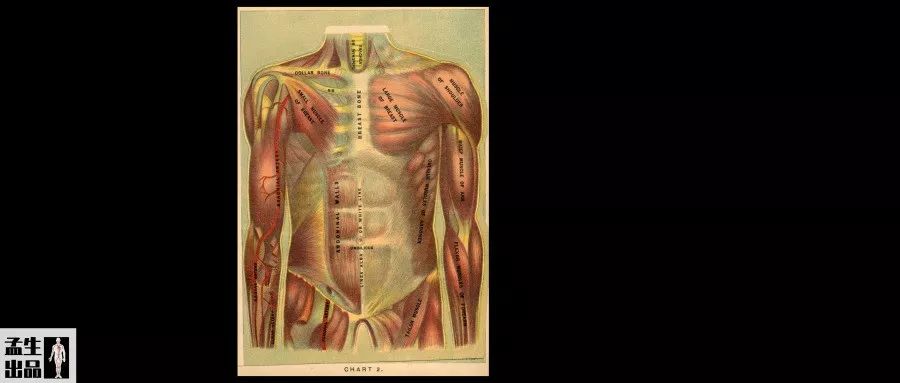 肌酸常见问题,肌酸要买什么肌酸