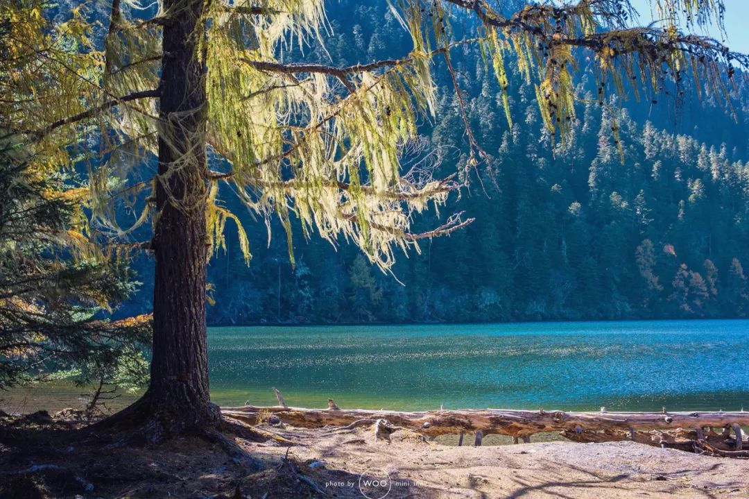 《有翡》取景地曝光！这个海拔3700，现场配救护车的地方要火