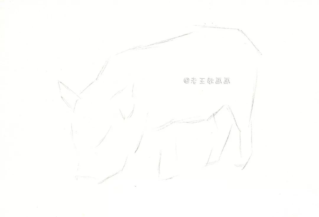 画一只简单又好看的猪,猪年的猪怎么画