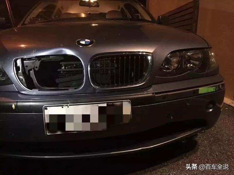 「澳洲系列」你吃过袋鼠吗？我撞过