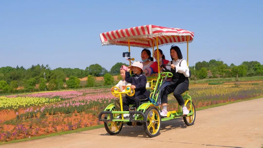 万亩花海游玩,湿地公园网红打卡地花海