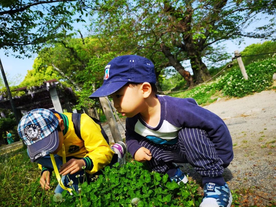 小孩被红火蚁咬后脓包怎么处理,孩子被红火蚁咬伤