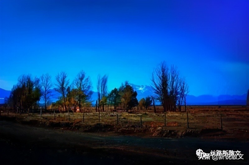 那天中午，踏踏实实做了一回闲人，把这些年欠下的阳光全找回来了