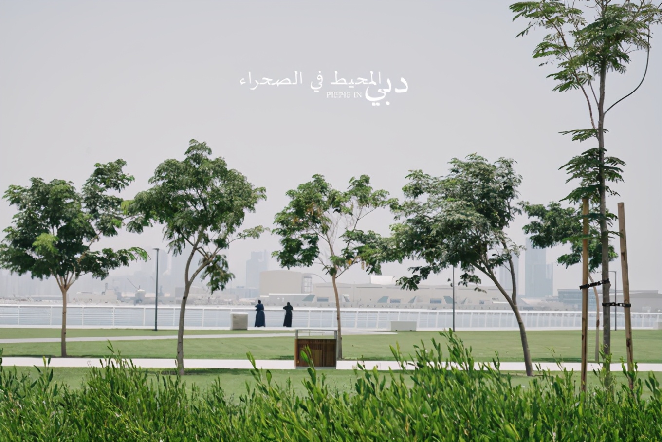 土豪之旅迪拜,迪拜土豪之旅