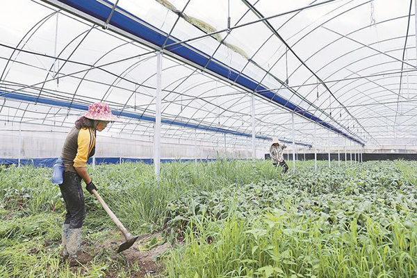 农村扶贫路上的火焰蓝,脱贫攻坚用爱点燃希望