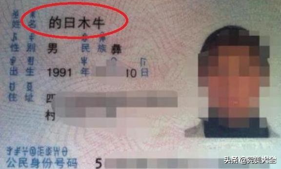 神预言结婚证走红，双方父母取的名绝了，网友：特别的缘分