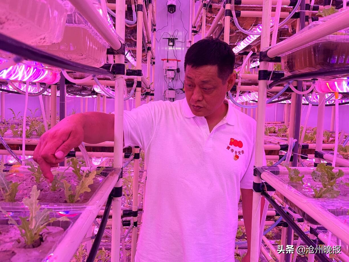 集装箱隐藏式,集装箱暗藏玄机