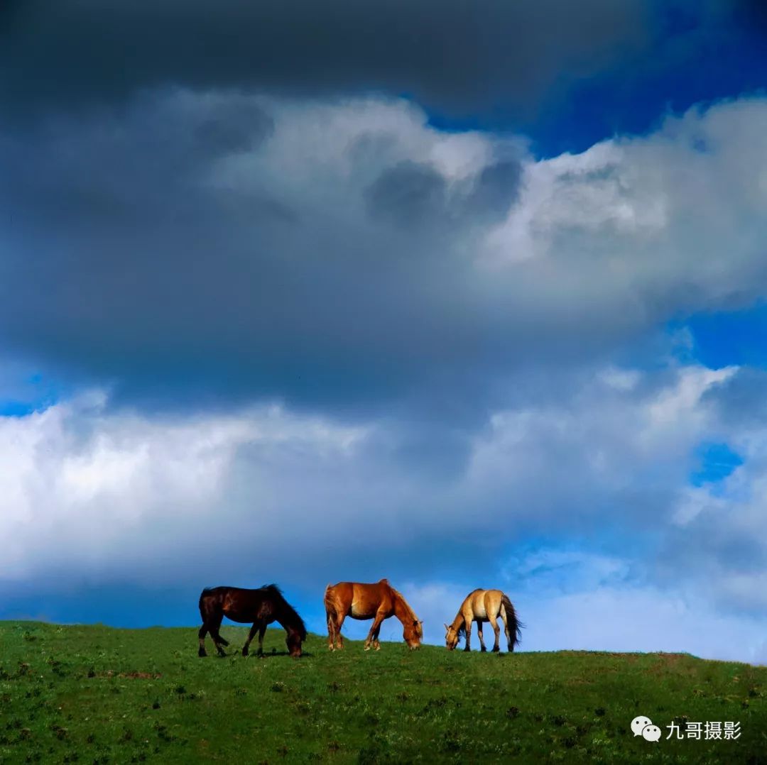 大美坝上草原全景,大美坝上风光系列之一