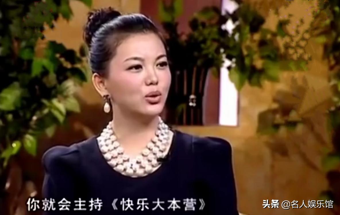 李湘不做主持人了靠什么挣钱呢,李湘一语道破光环背后的辛酸