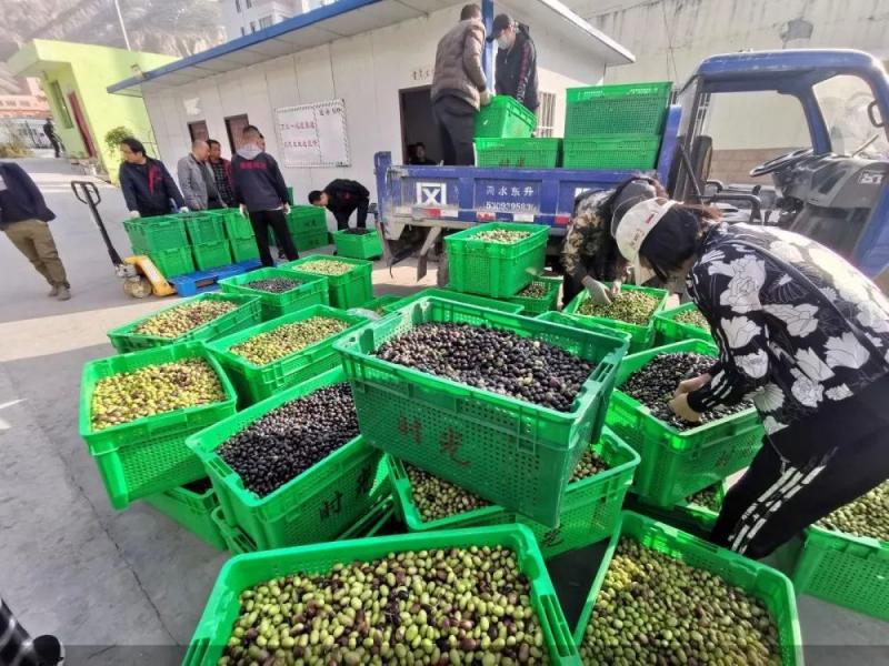 如何打造数字化农业示范基地,数字农业基地建设