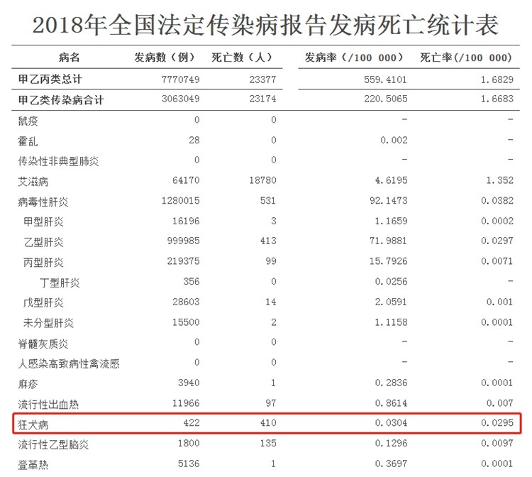 我10岁的时候被狗咬过,10岁那年被狗咬了原视频