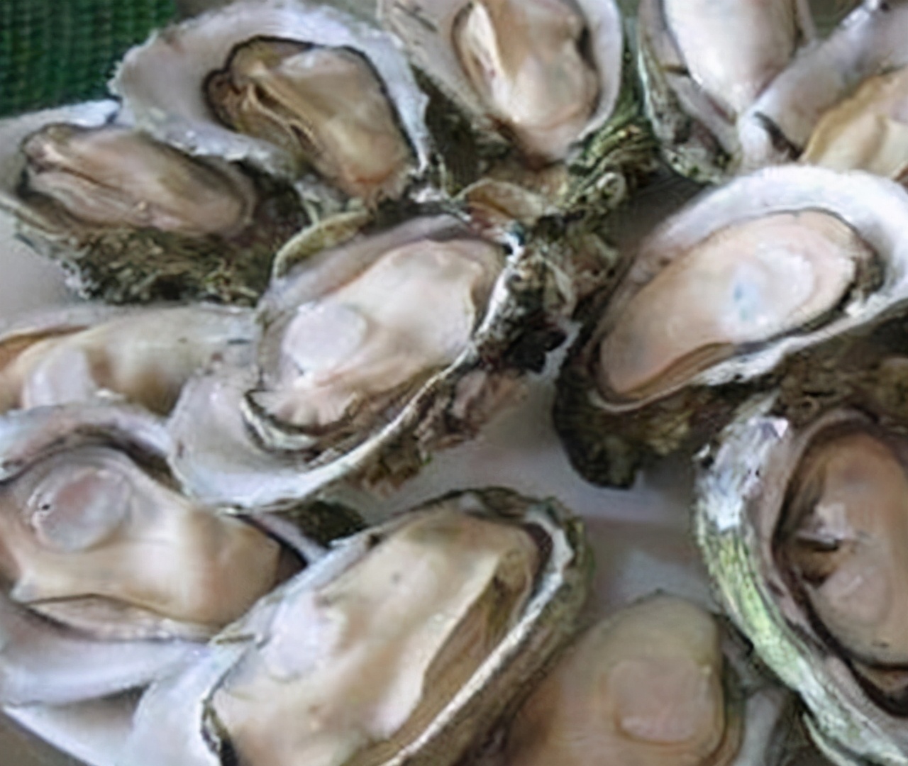 在家生蚝粥怎么煮,煮带壳生蚝正确方法