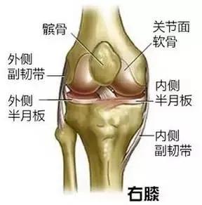 每天爬10楼是利还是弊,每天爬10楼伤膝盖吗