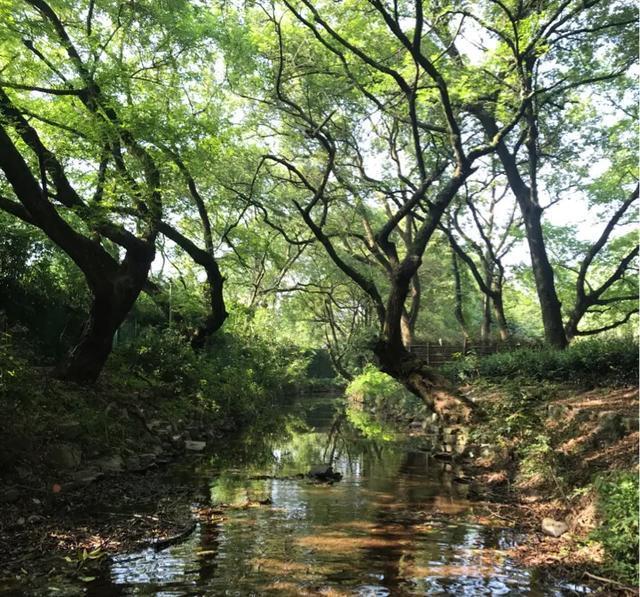 九溪避暑好去处,九宫山避暑胜地亲子游