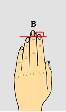 无名指比食指长一定是聪明的人吗,食指与无名指比例决定你的吸引力